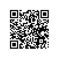 引入9610报关云平台，能给湛江企业带来什么价值？