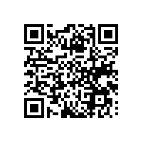 用四川智慧信息化关务系统能够精准归类水果产业货物出口吗？
