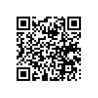 在AEO报关平台这方面惠州特色鞋业产业怎么选品牌？