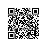 周边玩具工厂企业合规报关不便？选择广州saas通关平台能方便吗？