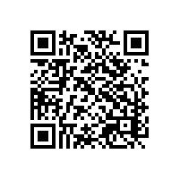 自动报关系统是什么？电子陕西关务软件对进出口流程有帮助？