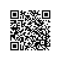 在东莞通关很花时间的原因？AEO报关平台怎么让报关变得快速？