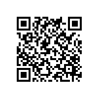 在东莞通关慢有啥原因？AEO报关平台怎么让过关变得快速？