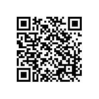 自动化关务系统发达带来的改变？黑龙江推荐哪家厂商？