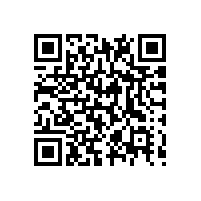 自动机器AEO报关系统是否适合东莞毛绒玩具出口企业？