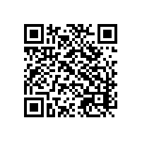 在国内与越南关务性质差异？ai报关软件能帮助简易通关吗？