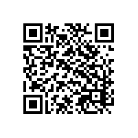 直观展示ai关务系统的优秀？越南有实际运用案例？