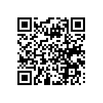 在广州珠海地区电子企业怎么获取专业的报关系统培训支持？这些关务系统培训机构能确保培训内容的时效性和实用性？