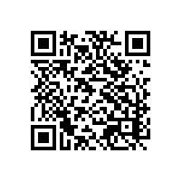 综合方面提升贸易效率的越南报关系统？选哪家厂商比较好？