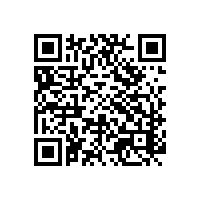 湛江汕头深圳AEO关务智能软件有啥特色？深圳电子出口企业用哪家关务软件更符合需求？