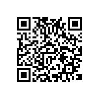 浙江温州杨梅出口能用关务智能软件提高通关效率吗？四川福建浙江aeo关务软件哪家好？