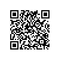 湛江小家电企业取得AEO认证有哪些好处？湛江汕头AEO关务软件哪款评价高？