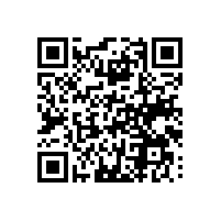 智能化关务系统怎么帮四川重庆货物进出口高效？有软件说说吗？