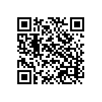 重庆玩具出口企业一般用什么AEO认证信息报关软件呢？四川重庆一般贸易管理系统好不好用？