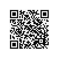 重庆玩具出口企业用的AEO认证信息报关软件有哪些呢？四川重庆一般贸易管理系统有推荐吗？