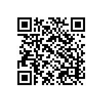 长三角企业对关务系统的核心需求？多模式ai报关软件应如何选择？