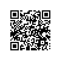 自学关务知识能满足企业业务发展吗？东莞关务顾问真的有用？