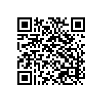 中小进口商报关软件选轻量化版本够用吗？山东企业选哪家报关软件版本够用？