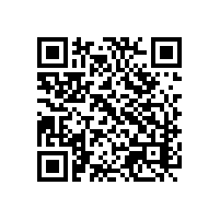 中小企业在越南适用报关系统吗？等企业做大了再用关务软件会更合适吗？