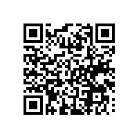 中小企业在越南要用报关系统吗？等企业做大了再用给我软件会更好点？
