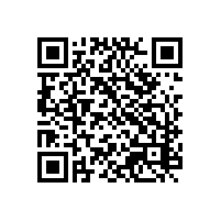 在越南中资企业必须要用关务系统吗？越南的海关政策需要用关务软件协助吗？