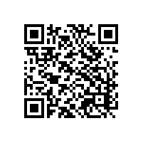 中越双团队共用一套越南关务系统，两边各自用母语操作，会出现数据不同步的问题吗？谁家的越南关务系统支持双团队用母语各自操作吗？