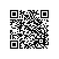 中资厂遇海关审查胆战心惊？用越南报关系统就不用担心了！