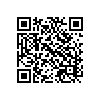 中资企业借助关务软件实现进出口自动化？越南企业的关务软件解决方案找哪家靠谱？