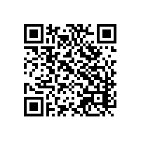 中资企业用关务软件在越南的优势是指？关务软件在安全性方面选哪家好用？