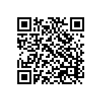 中资企业在越南的效率与竞争力多吗？越南企业用越南关务软件的优势哪家品牌好？