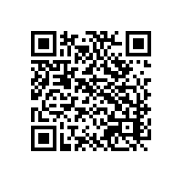 中资越南工厂用智能报关系统，能直接对接越南海关单一窗口吗？中资企业容易出错越南关务系统能解决这个问题吗？