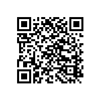 魯氏羅茨真空泵中央供料