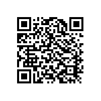 定制調心滾子軸承認準維特瑞