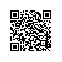 WTR精密圓柱滾子軸承，用行動證明實力