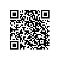 浙江國檢檢測技術(shù)股份有限公司 關(guān)于審計整改結(jié)果情況的公告