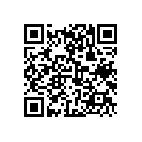 東風係統汽車零部件模具TD處理案（àn）例（lì）