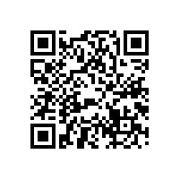 異地購買電動吊車多少錢一臺，售后維修怎么保障