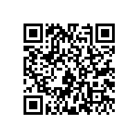 爆气用高压麻豆精品一区二区风机SR100型号的参数，三叶的有这些