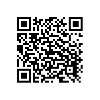 俄罗斯客户来厂参观