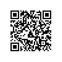 反冲洗风机出现异响的主要原因是什么？