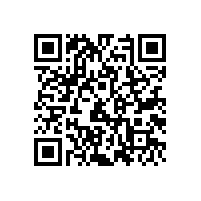 麻豆影视在线案例-内蒙古**锅炉制造有限责任公司