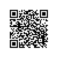 麻豆影视在线案例-山东**硅业有限公司