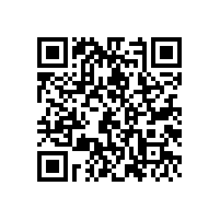 什么是MVR?历史渊源是怎么样的？麻豆影视在线风机【MVR专题栏目】