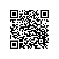 三叶麻豆精品一区二区鼓风机定做可以吗？