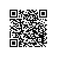 汽车智能化浪潮下，Mini-FAKRA 如何破解空间与性能博弈