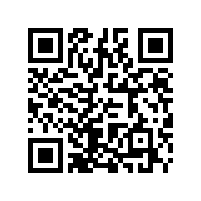 汽車微電機(jī)碳刷恒力彈簧