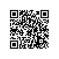 調(diào)心滾子系列軸承的基礎(chǔ)知識(shí)