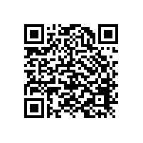 FAG進(jìn)口軸承內(nèi)圈固定的四大技巧
