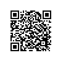 FAG進(jìn)口軸承三大分類及用途