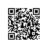 紅獅控股集團(tuán)有限公司